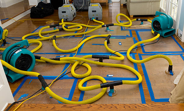 Professional Sewage Cleanup technician working in Auburn, MI